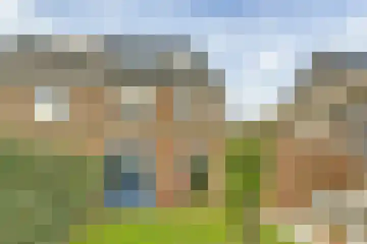 Dierenriem 4 Elst foto 3