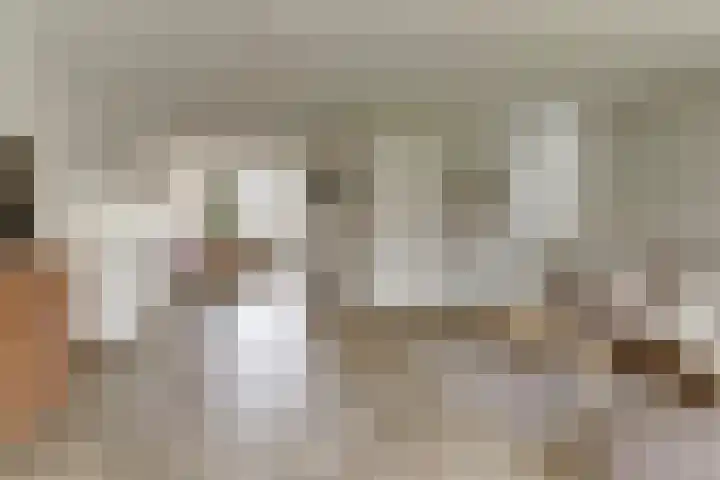 Dierenriem 4 Elst thumbnail 5