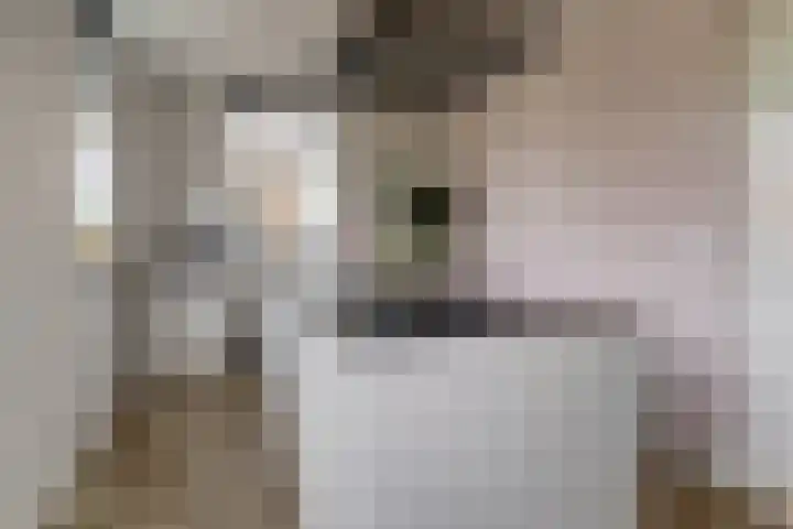 Dierenriem 4 Elst thumbnail 9