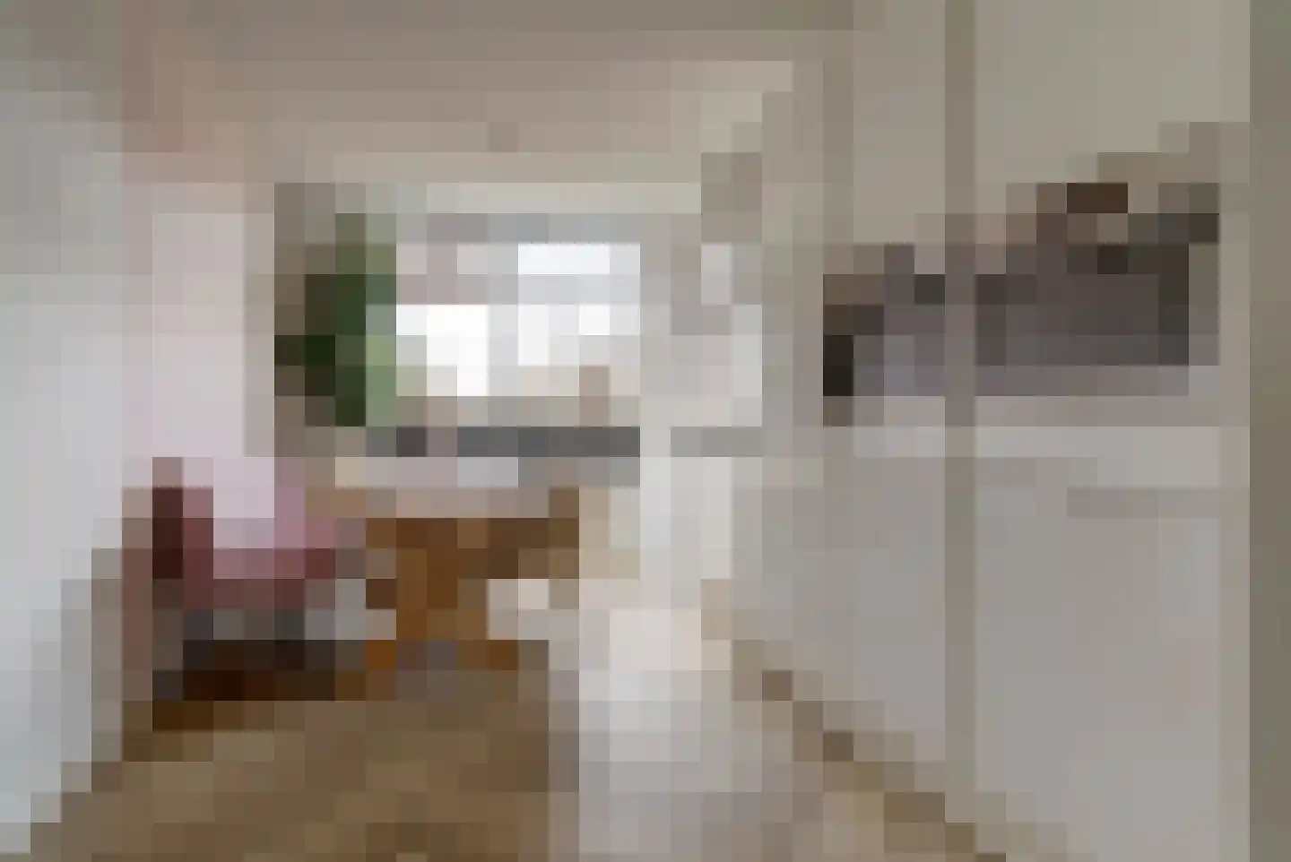 Dierenriem 4 Elst thumbnail 9