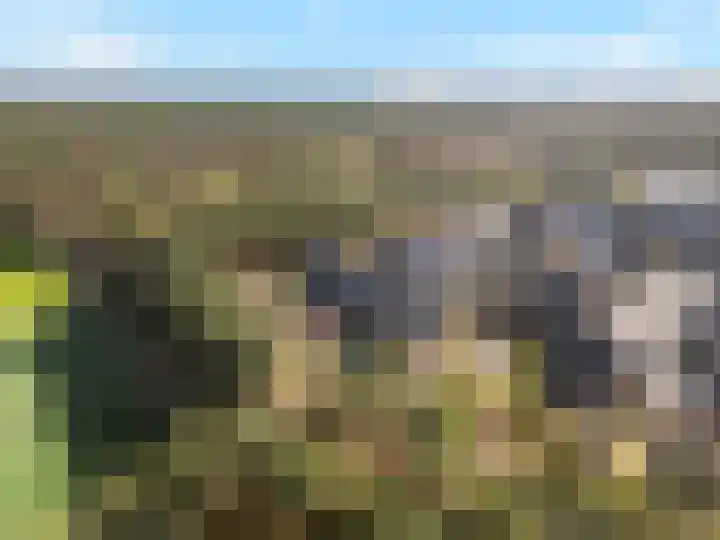 Dierenriem 4 Huis ter Heide thumbnail 10