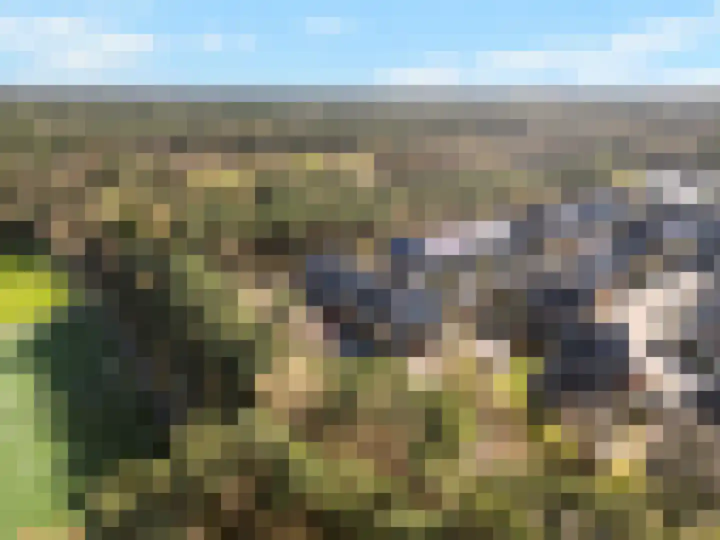 Dierenriem 4 Huis ter Heide thumbnail 10