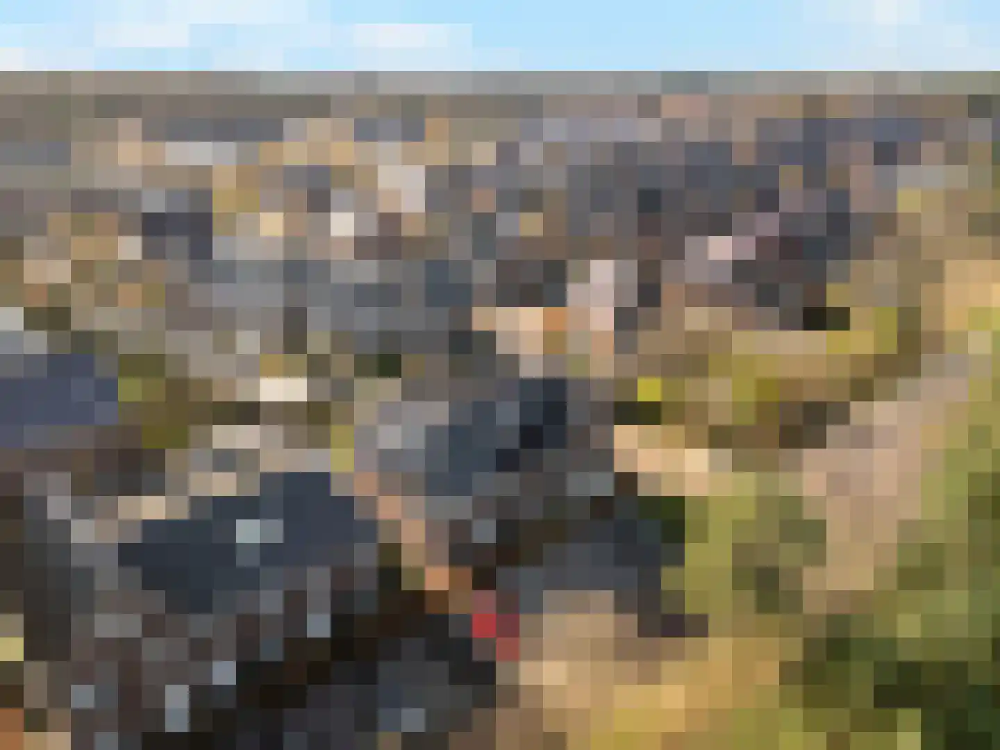 Dierenriem 4 Huis ter Heide thumbnail 11