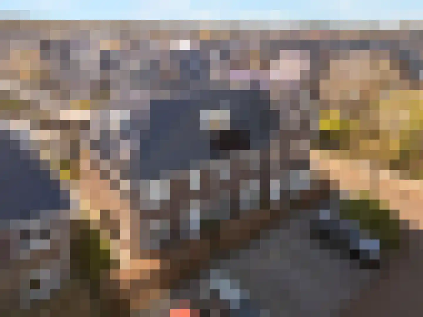 Dierenriem 4 Huis ter Heide thumbnail 12