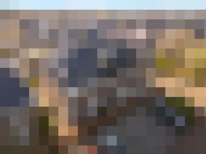 Dierenriem 4 Huis ter Heide thumbnail 12