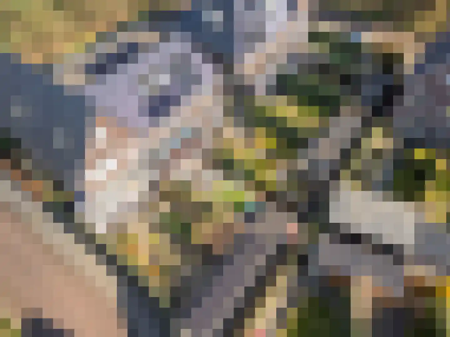 Dierenriem 4 Huis ter Heide thumbnail 13