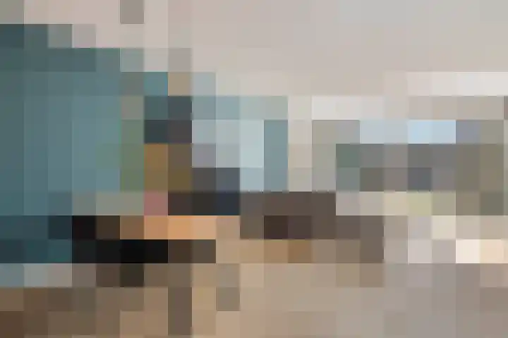 Dierenriem 4 Huis ter Heide thumbnail 18