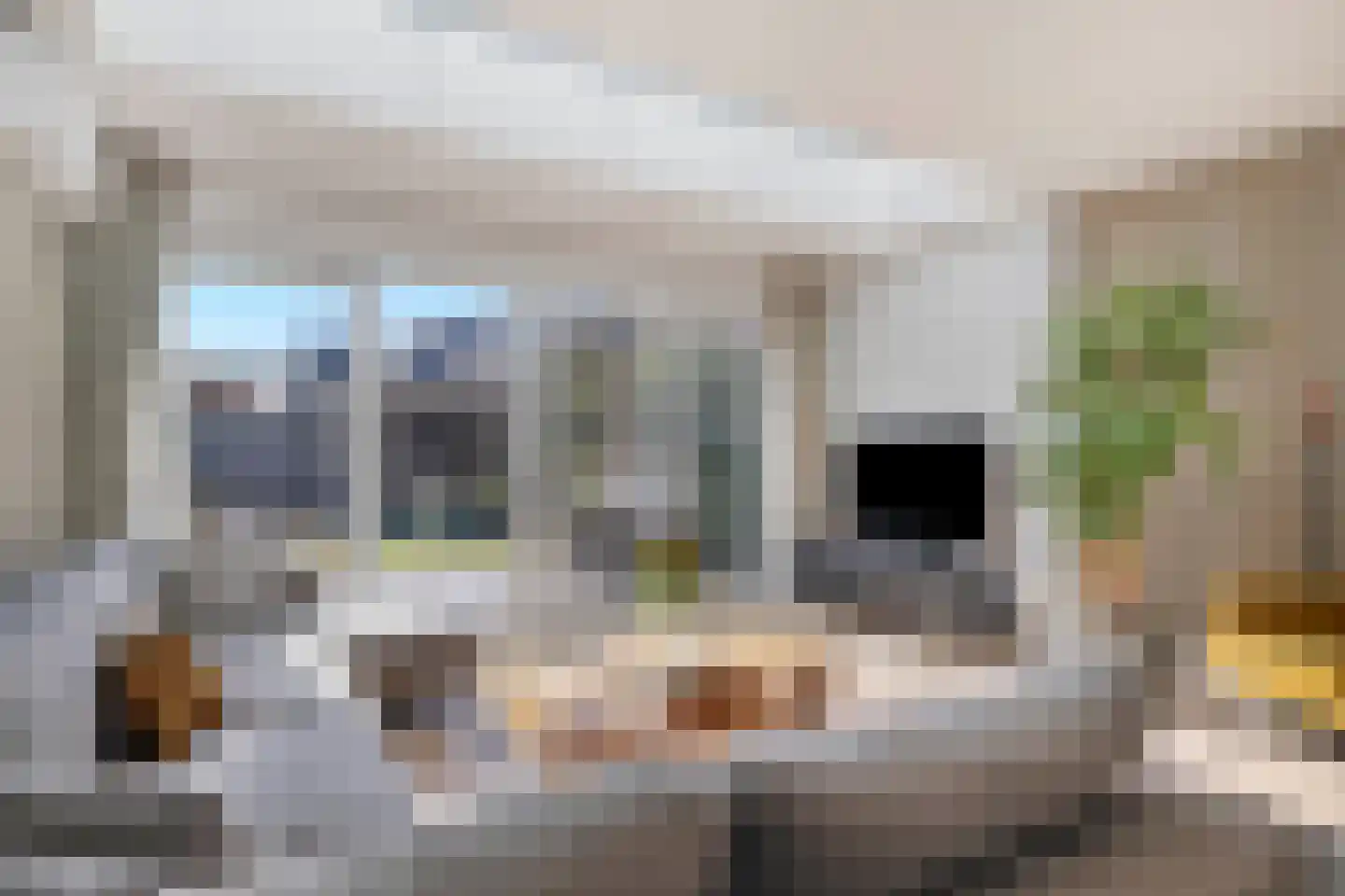 Dierenriem 4 Huis ter Heide foto 2