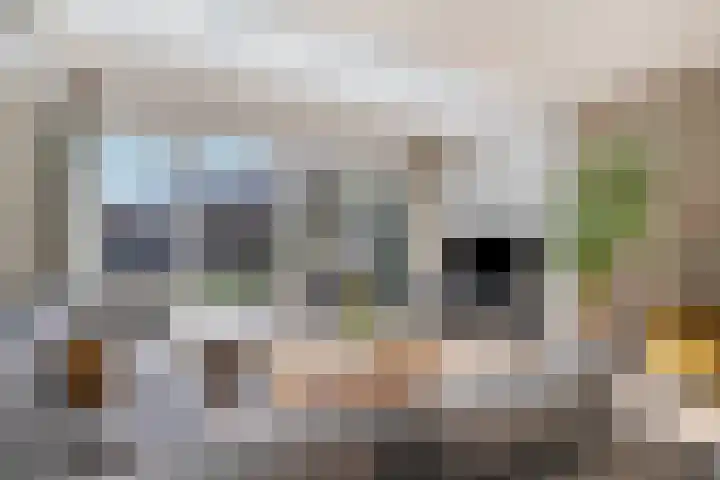 Dierenriem 4 Huis ter Heide foto 2
