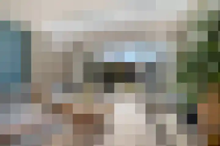 Dierenriem 4 Huis ter Heide thumbnail 21