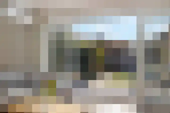 Dierenriem 4 Huis ter Heide thumbnail 22