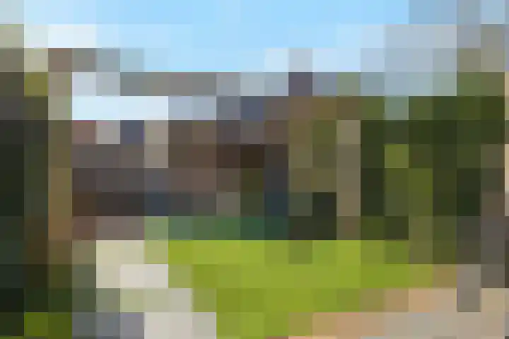 Dierenriem 4 Huis ter Heide thumbnail 24