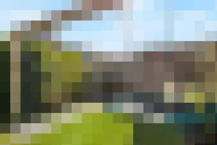 Dierenriem 4 Huis ter Heide thumbnail 25
