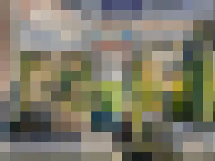 Dierenriem 4 Huis ter Heide thumbnail 27