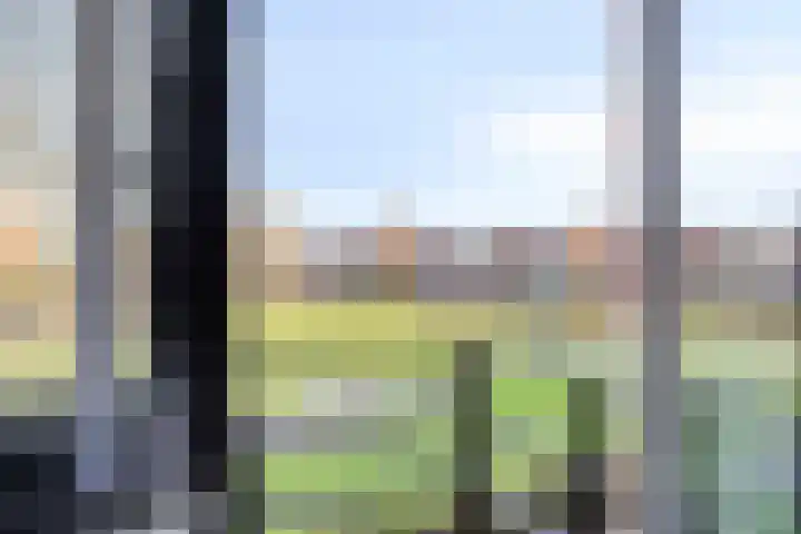 Dierenriem 4 Huis ter Heide thumbnail 29