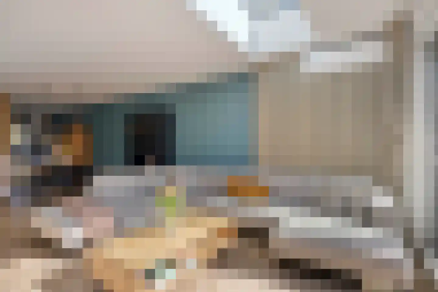 Dierenriem 4 Huis ter Heide thumbnail 30