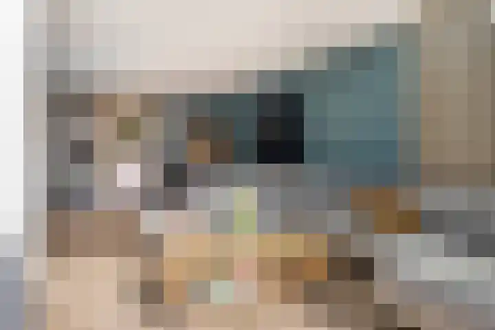 Dierenriem 4 Huis ter Heide thumbnail 31