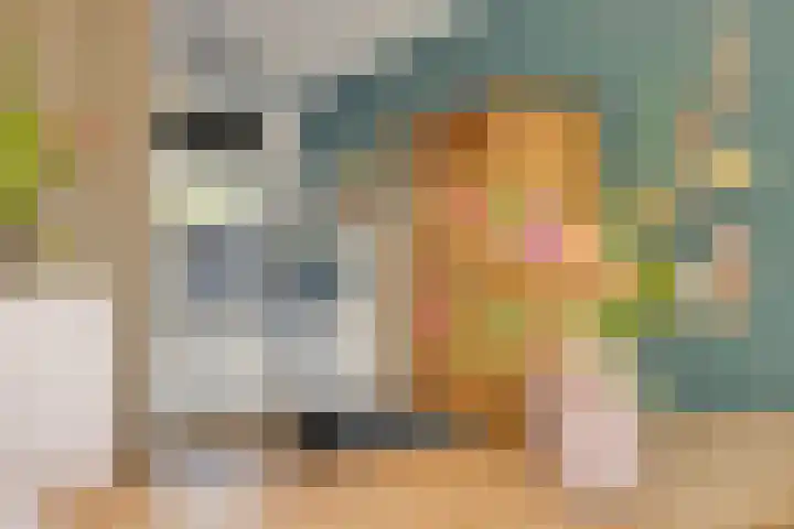 Dierenriem 4 Huis ter Heide thumbnail 34
