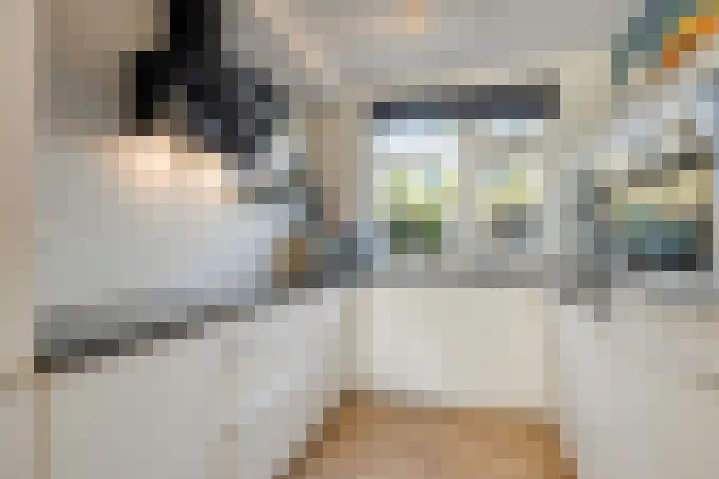 Dierenriem 4 Huis ter Heide thumbnail 35