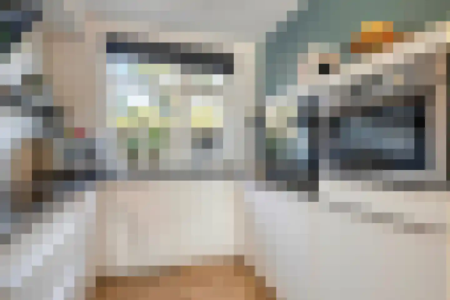 Dierenriem 4 Huis ter Heide thumbnail 36