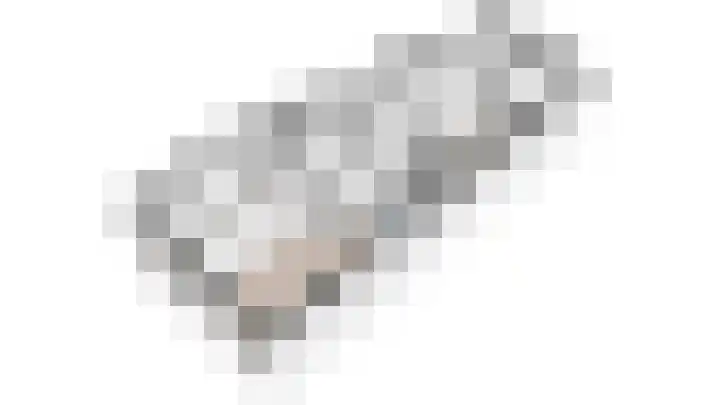 Dierenriem 4 Huis ter Heide thumbnail 4