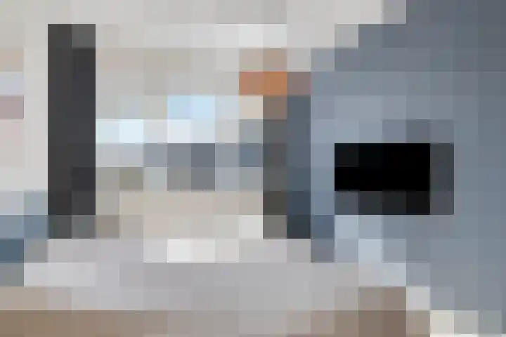 Dierenriem 4 Huis ter Heide thumbnail 40