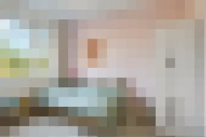 Dierenriem 4 Huis ter Heide thumbnail 42