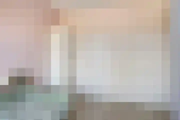 Dierenriem 4 Huis ter Heide thumbnail 47