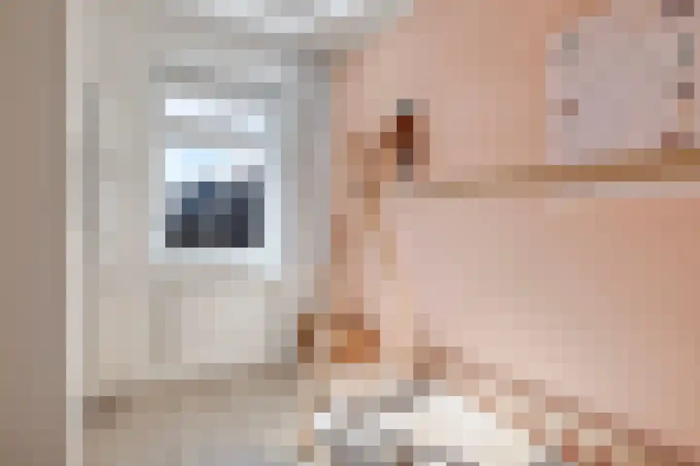 Dierenriem 4 Huis ter Heide thumbnail 48
