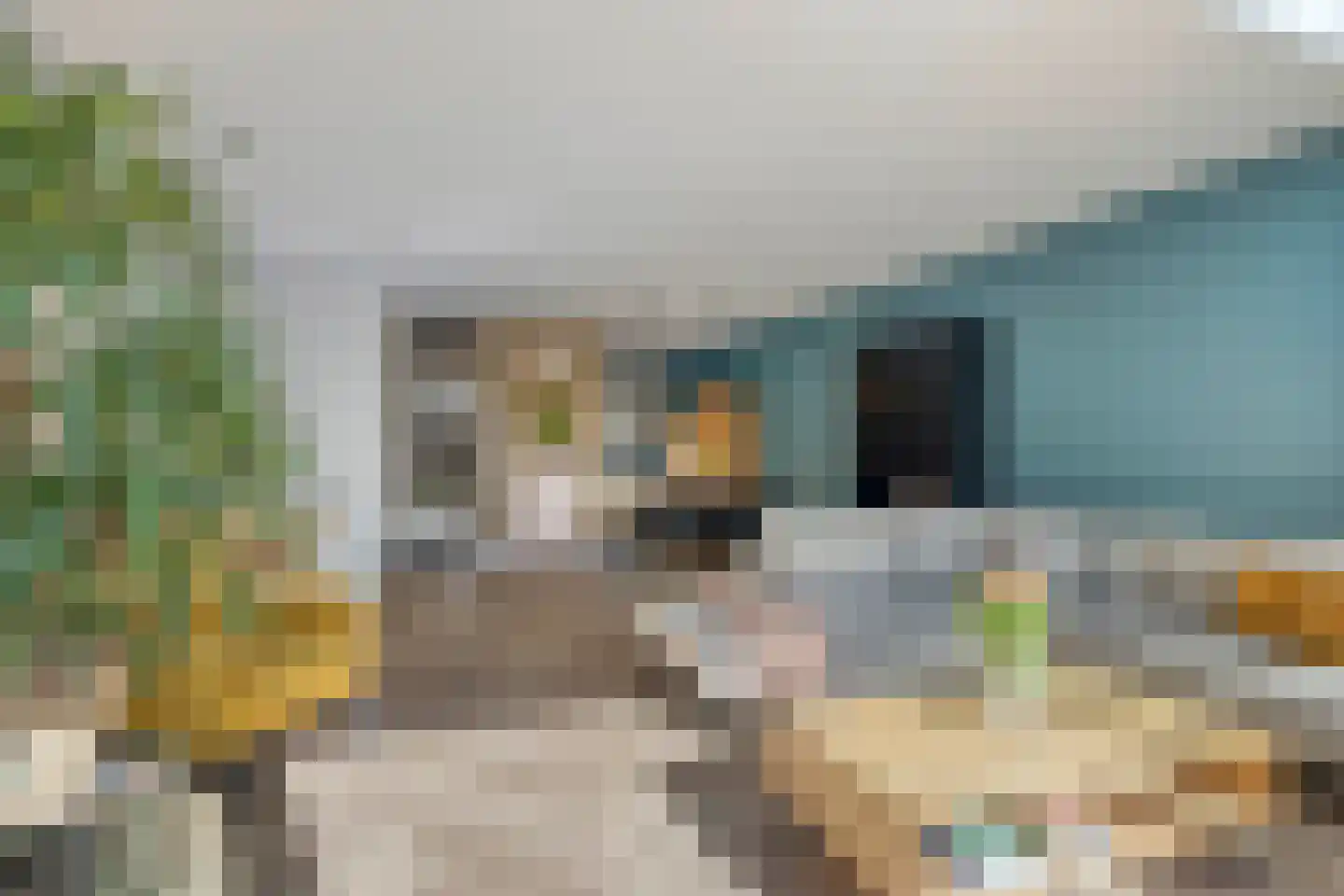 Dierenriem 4 Huis ter Heide thumbnail 5