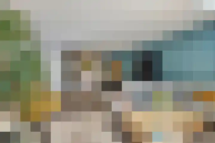 Dierenriem 4 Huis ter Heide thumbnail 5