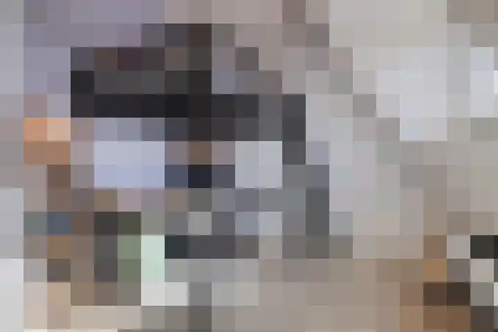 Dierenriem 4 Huis ter Heide thumbnail 54