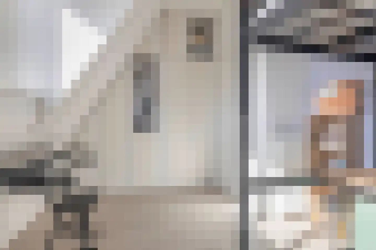 Dierenriem 4 Huis ter Heide thumbnail 56