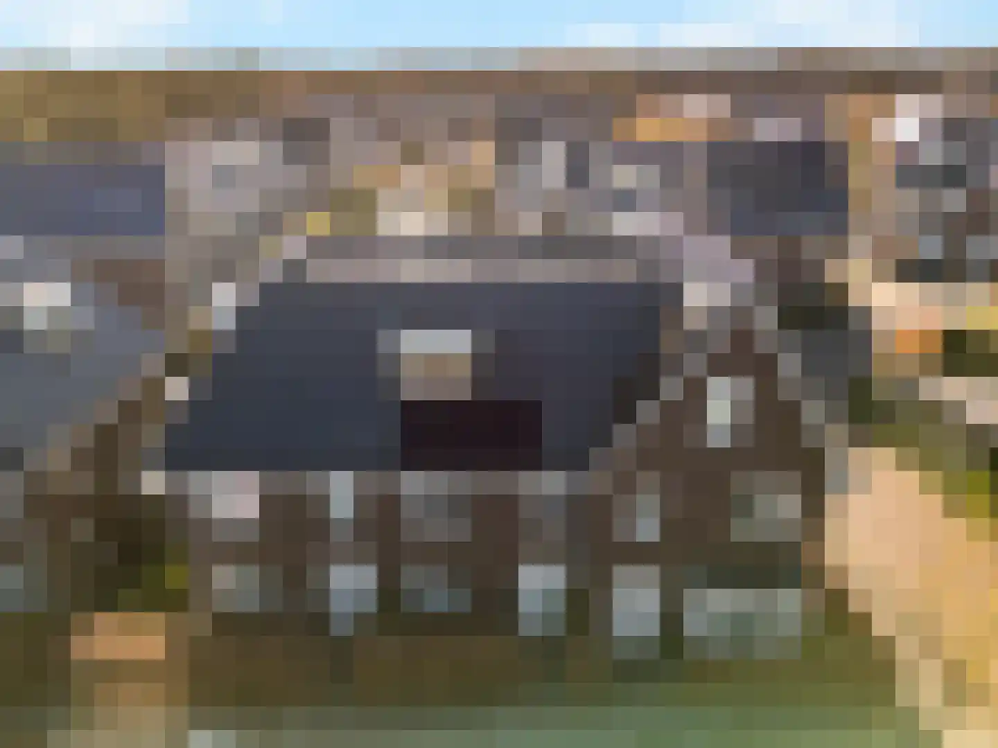 Dierenriem 4 Huis ter Heide thumbnail 58