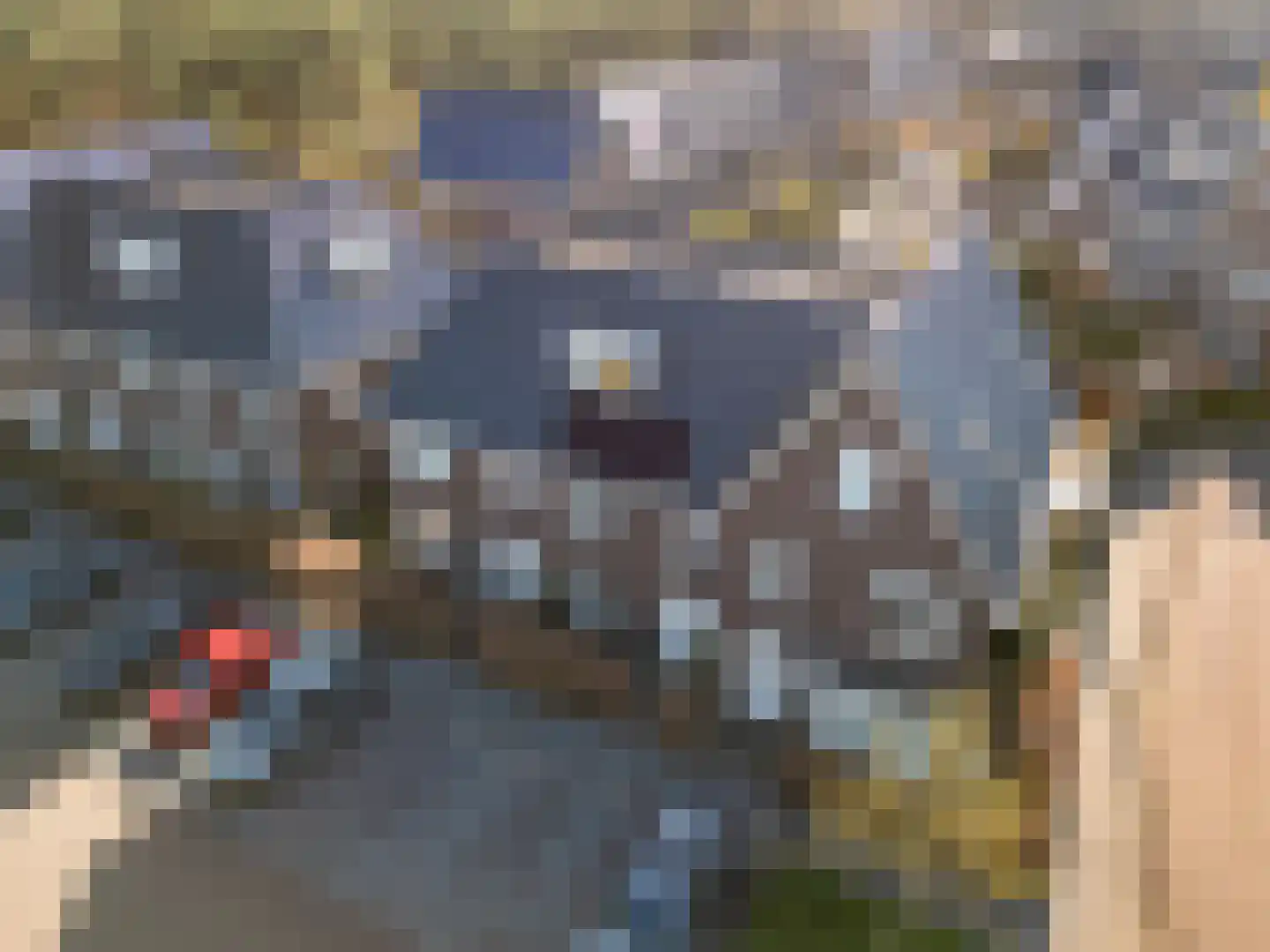 Dierenriem 4 Huis ter Heide thumbnail 59