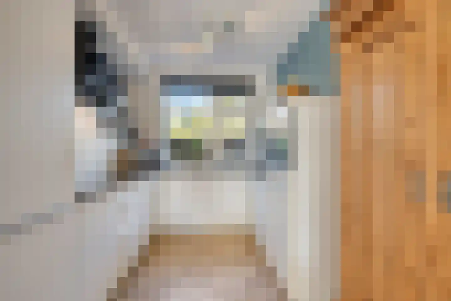 Dierenriem 4 Huis ter Heide thumbnail 6