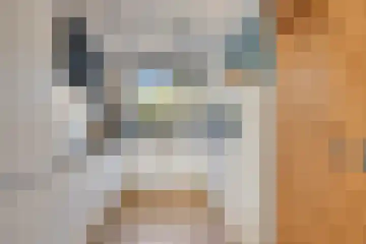 Dierenriem 4 Huis ter Heide thumbnail 6