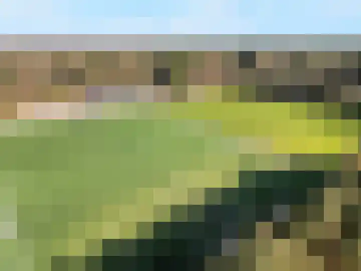 Dierenriem 4 Huis ter Heide thumbnail 60