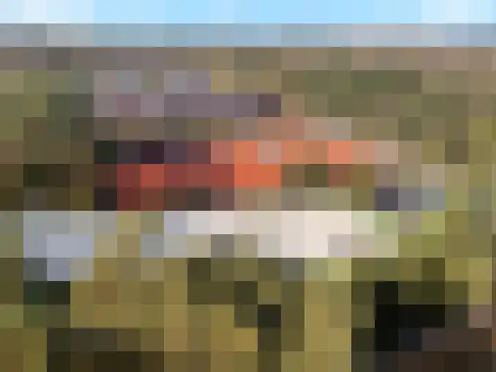 Dierenriem 4 Huis ter Heide thumbnail 61
