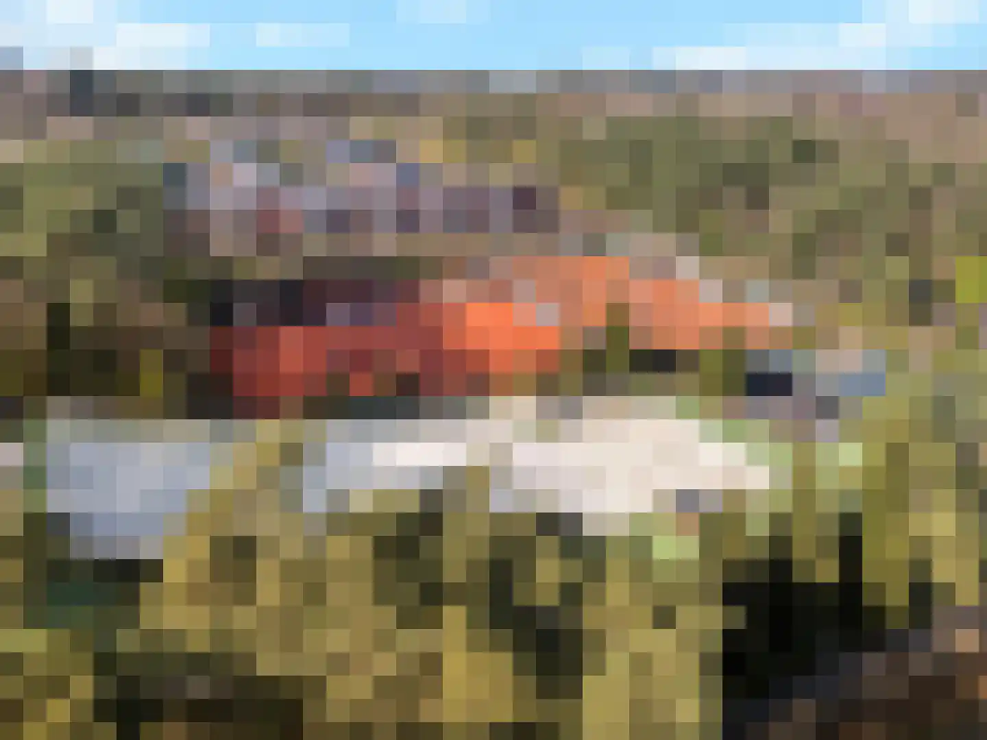 Dierenriem 4 Huis ter Heide thumbnail 61