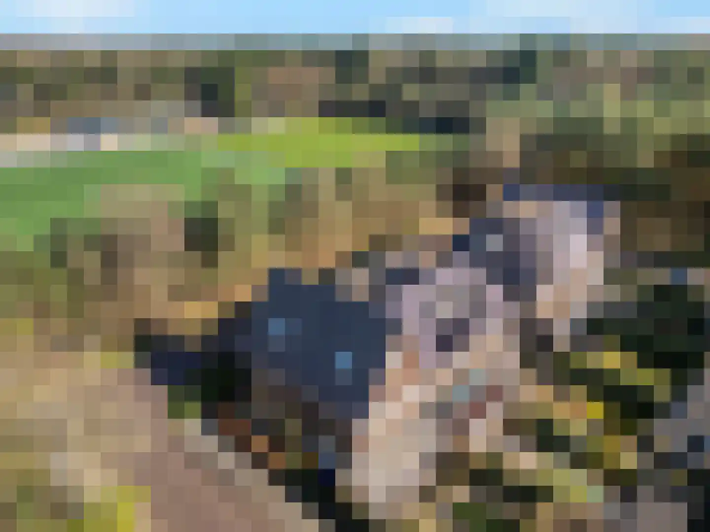 Dierenriem 4 Huis ter Heide thumbnail 63