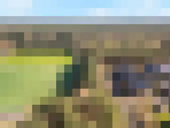 Dierenriem 4 Huis ter Heide thumbnail 65
