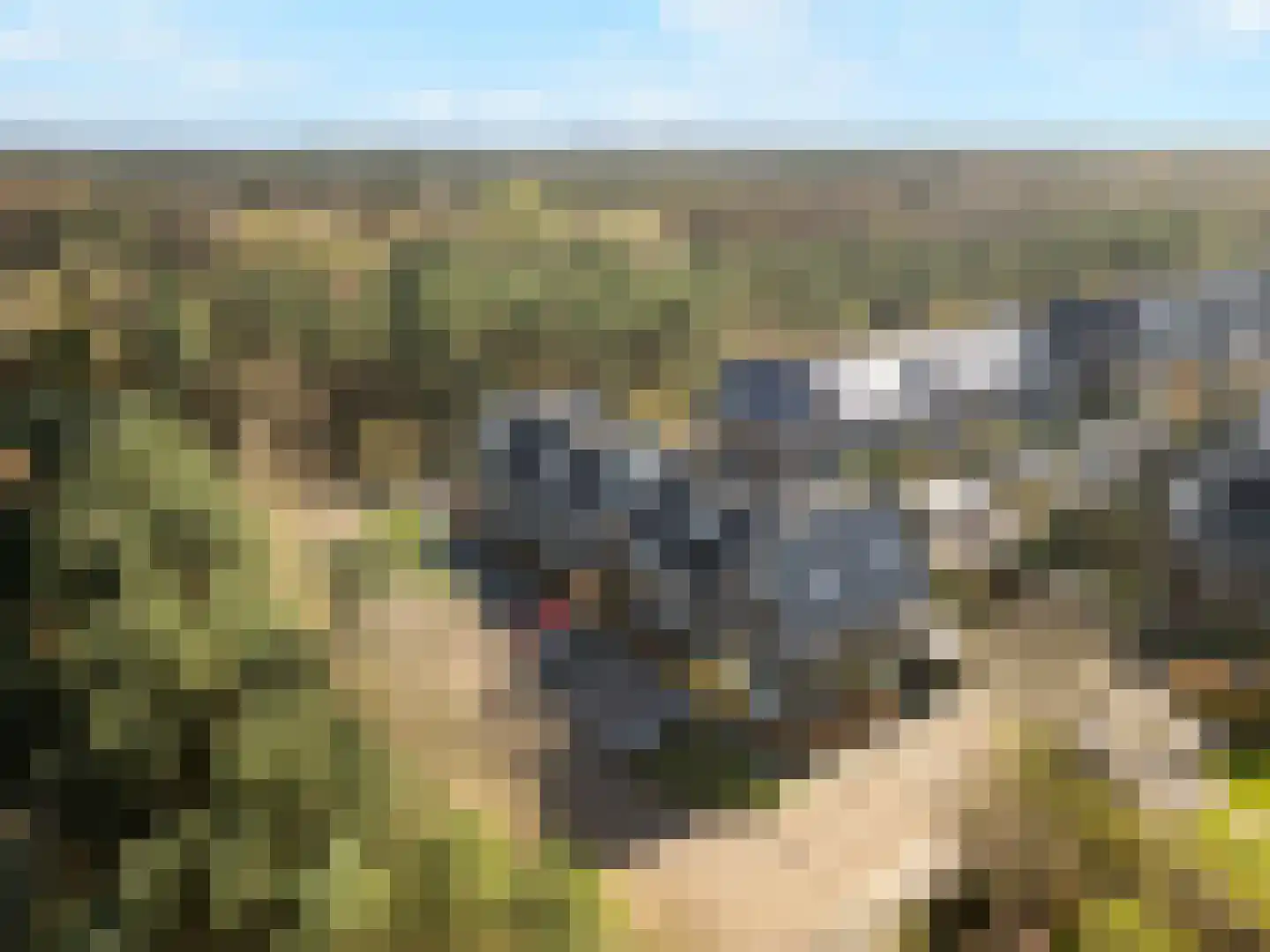 Dierenriem 4 Huis ter Heide thumbnail 66