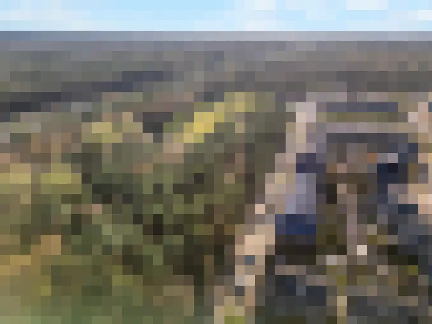 Dierenriem 4 Huis ter Heide thumbnail 67