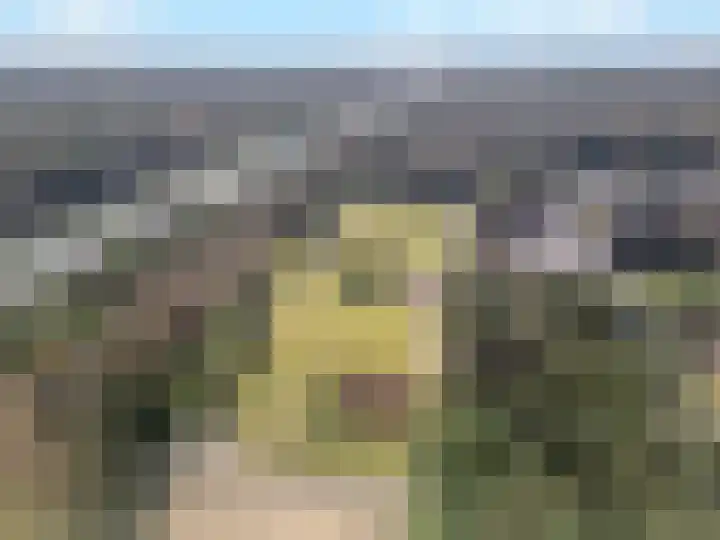 Dierenriem 4 Huis ter Heide thumbnail 68