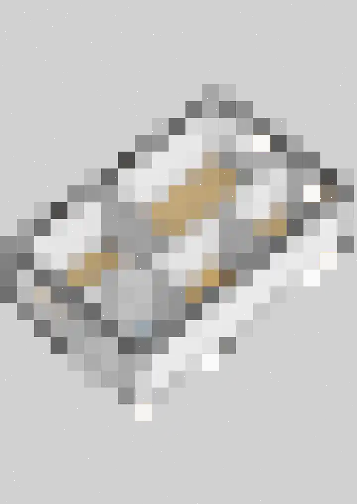 Dierenriem 4 Huis ter Heide thumbnail 75