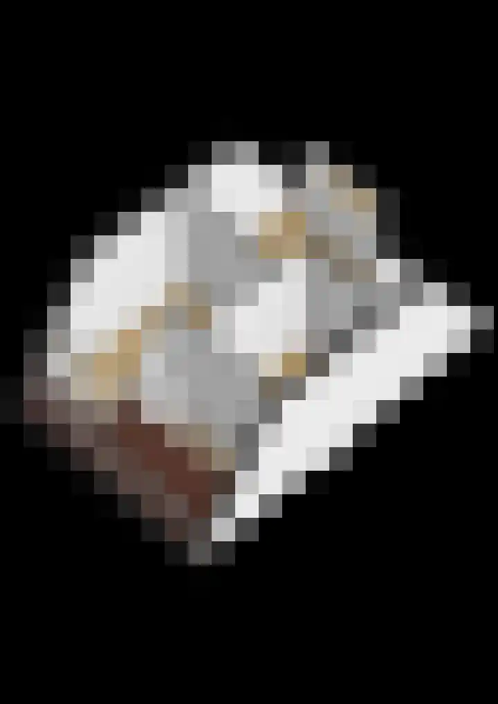 Dierenriem 4 Huis ter Heide thumbnail 77