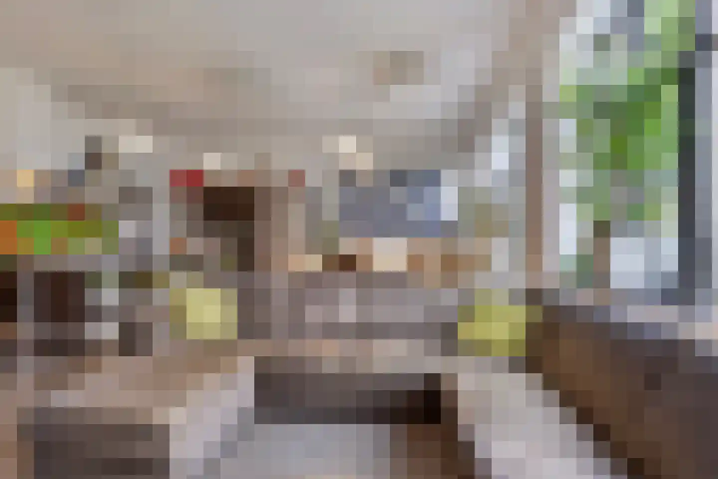 Dierenriem 42 A Ulft thumbnail 10