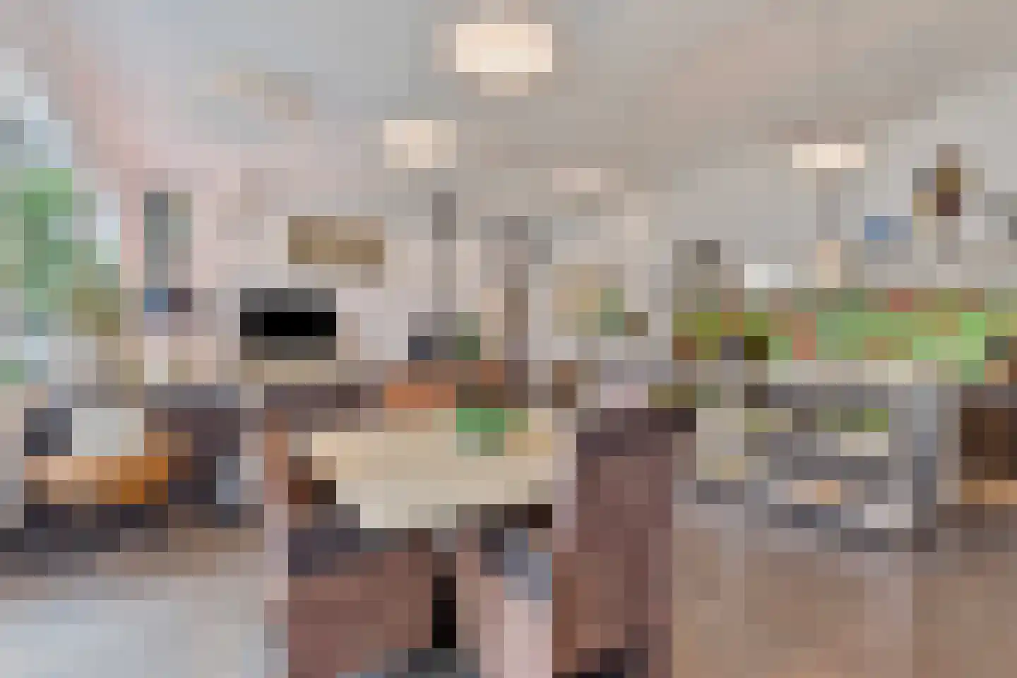 Dierenriem 42 A Ulft thumbnail 12