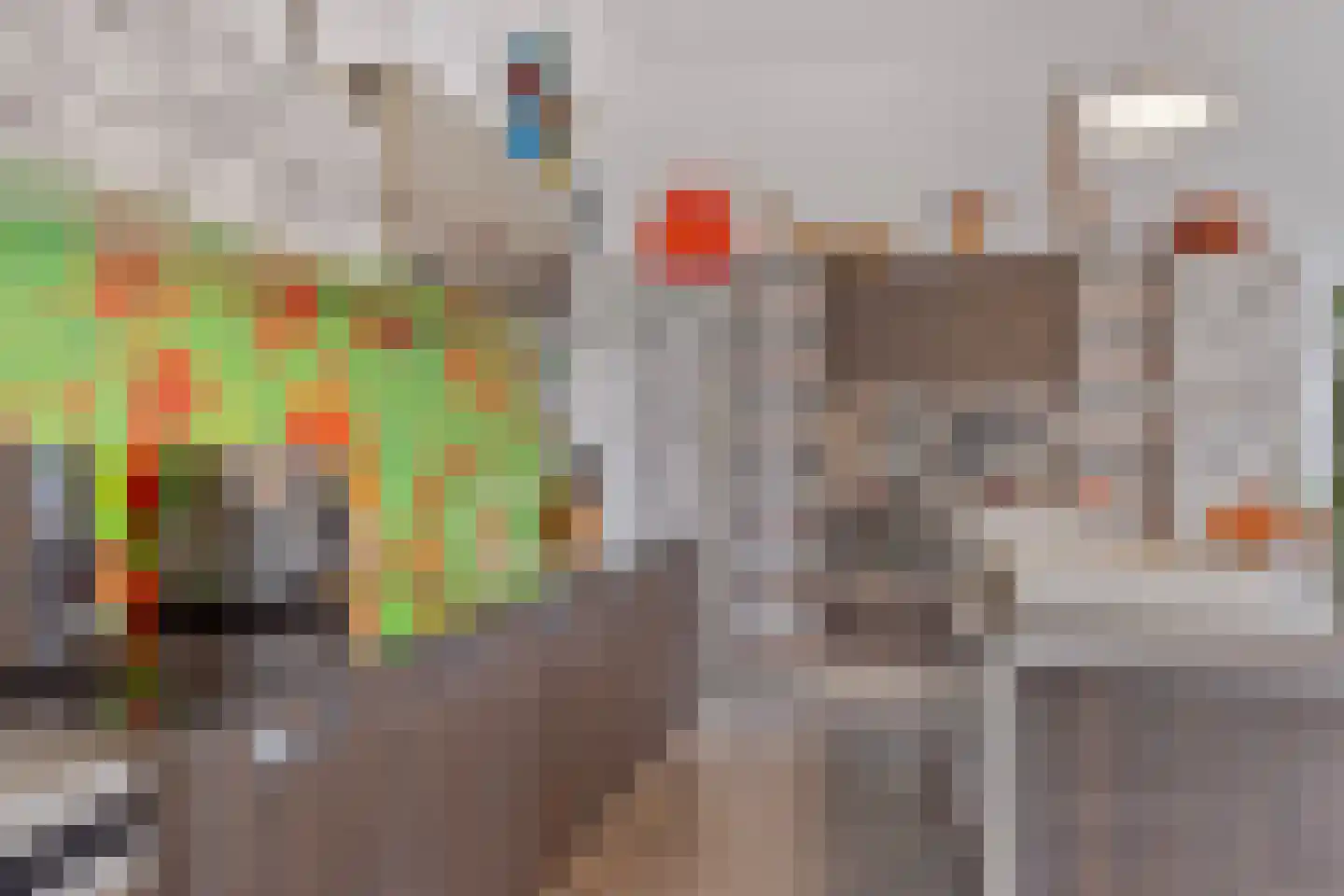 Dierenriem 42 A Ulft thumbnail 13